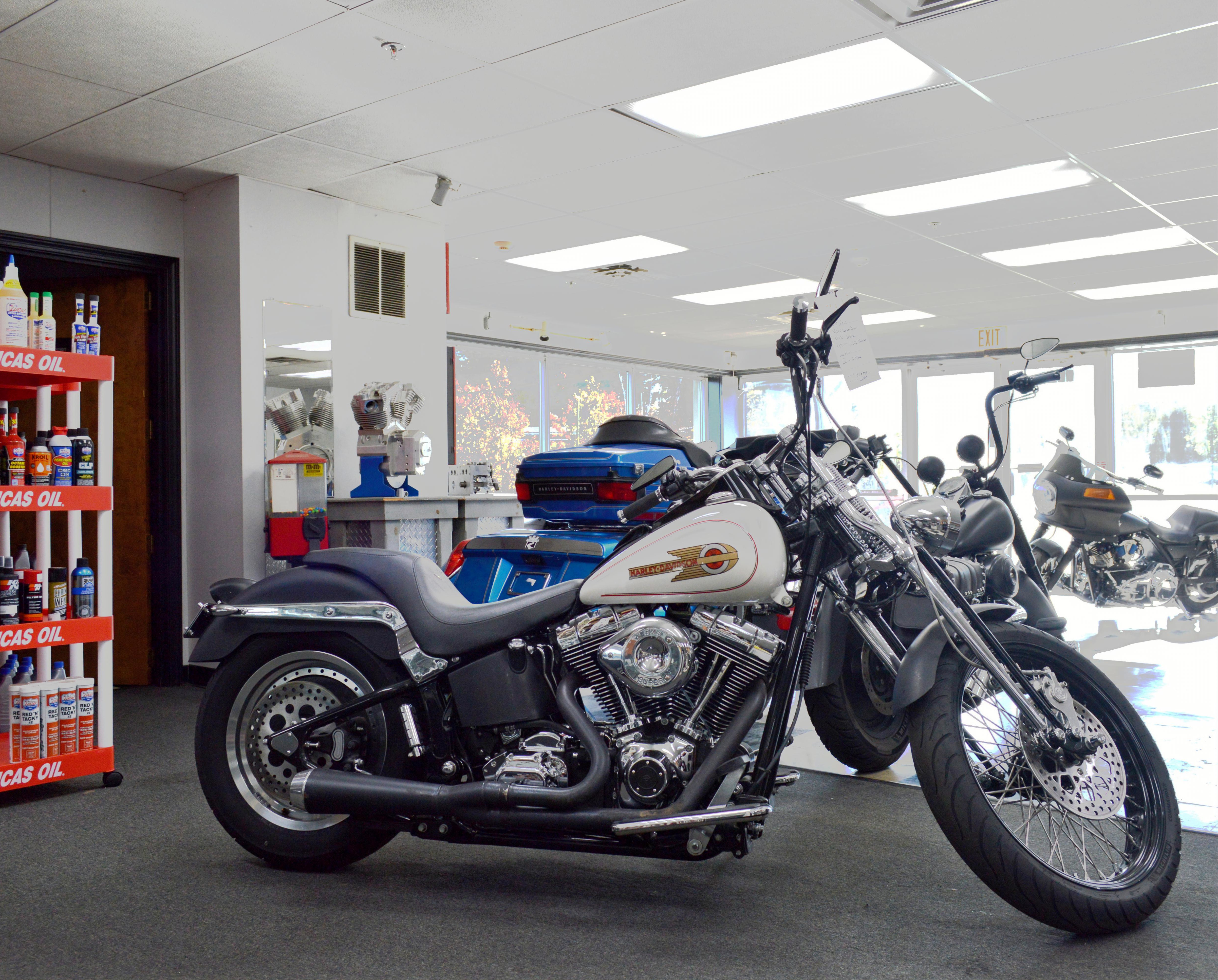 2010 Custom Springer Softail
